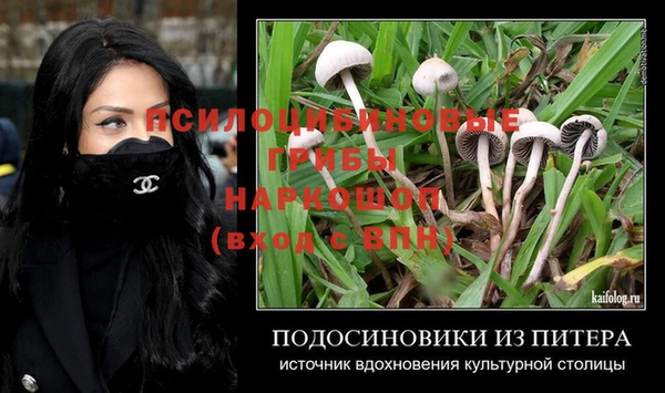 гидропоника Михайлов