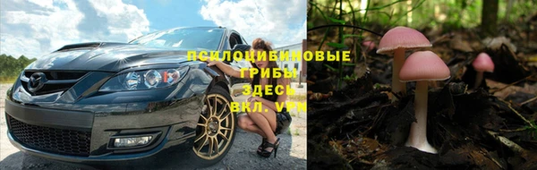гидропоника Михайлов